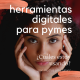 Herramientas Digitales para PYMES – Ecosistema Digital básico
